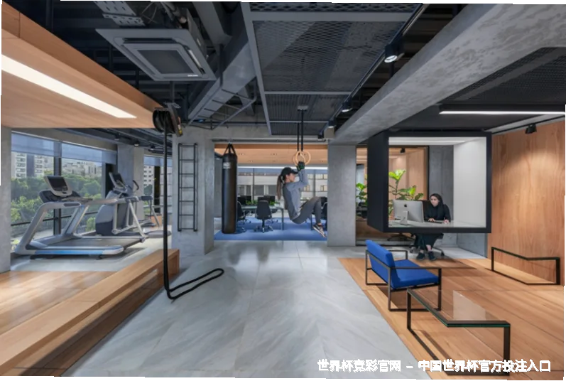 核心团队与专业底气